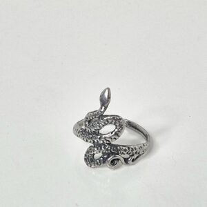 Ring Orm